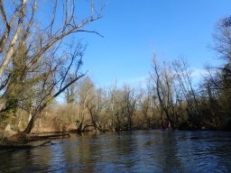 Groschenwasser, Februar 2026